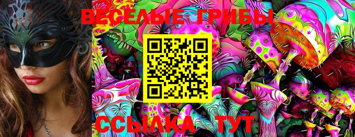 Псилоцибиновые грибы Cubensis Ялта