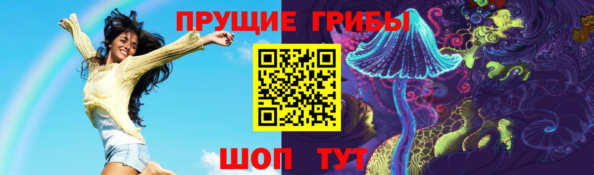 Ялта  Галлюциногенные грибы Psilocybe  где продают   Вход с VPN 
